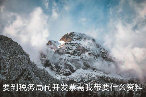 個(gè)人稅務(wù)局代開發(fā)需要什么資料，稅局代開發(fā)發(fā)票需要帶什么資料