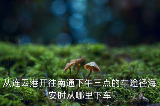 連云港到南通經(jīng)過什么地方，從連云港開往南通下午三點(diǎn)的車途徑海安時從哪里下車
