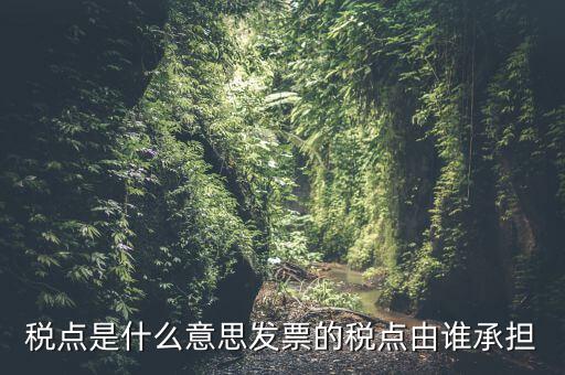 稅點由什么決定，稅點是什么意思