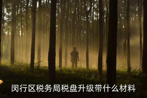 去升級(jí)稅控盤要帶什么，去國稅稅控盤升級(jí)需要帶哪些材料