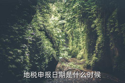 地稅清稅報(bào)告時(shí)間是什么原因，每月稅務(wù)申報(bào)時(shí)間什么時(shí)候