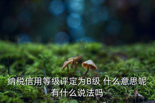 國(guó)稅b級(jí)信用是什么意思，納稅信用等級(jí)評(píng)定為B級(jí) 什么意思呢有什么說(shuō)法嗎