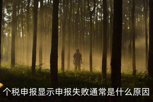 個(gè)稅申報(bào)系統(tǒng)為什么不能反饋，為什么個(gè)人所得稅申報(bào)以后反饋信息失敗