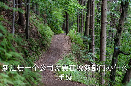 新辦企業(yè)需要到地稅辦理什么手續(xù)費(fèi)，新注冊一個公司需要在稅務(wù)部門辦什么手續(xù)