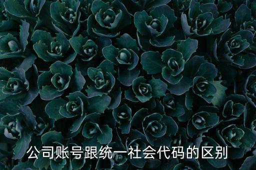 賬號上的統(tǒng)一社會代碼是什么意思，統(tǒng)一社會信用代碼有什么用