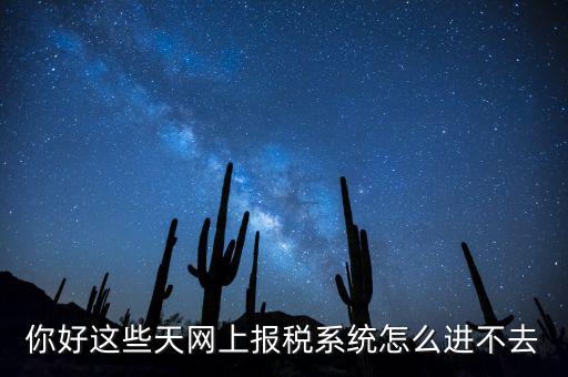 為什么個稅系統(tǒng)打不開，你好這些天網(wǎng)上報稅系統(tǒng)怎么進不去