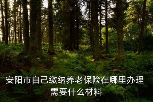 安陽地稅局交個(gè)人保險(xiǎn)在什么地方，安陽市醫(yī)保交費(fèi)在哪里地稅局