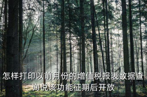 46月份征期是什么意思，怎樣打印以前月份的增值稅報表數(shù)據(jù)查詢說該功能征期后開放