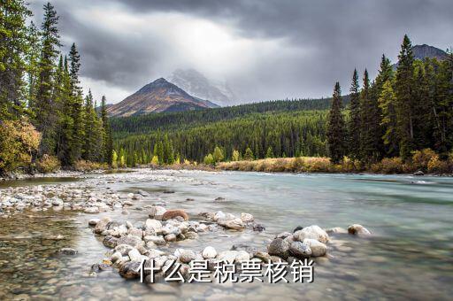 國稅局核銷是什么意思，增值稅專用發(fā)票核銷是什么意思