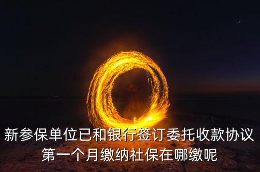 什么時(shí)候辦理授權(quán)劃繳協(xié)議，如何取得委托銀行劃轉(zhuǎn)地方稅費(fèi)授權(quán)書協(xié)議書去銀行還是去地稅