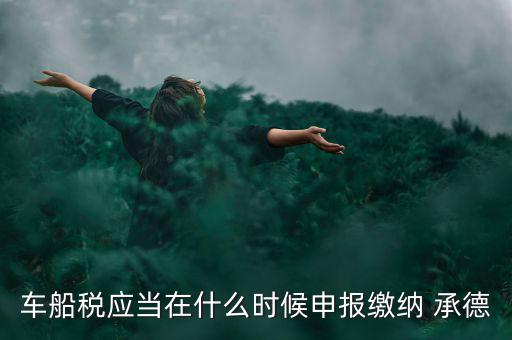 車船稅應(yīng)當在什么時候申報繳納 承德