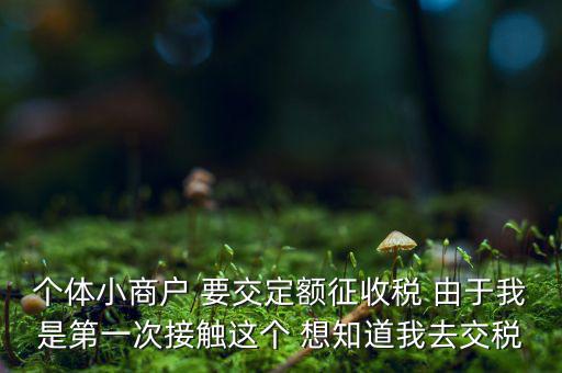 定額納稅到什么地方繳，定額征收的個(gè)體需繳納什么地稅