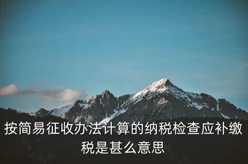 簡(jiǎn)易征收什么意思，按簡(jiǎn)易征收辦法計(jì)算的納稅檢查應(yīng)補(bǔ)繳稅是甚么意思