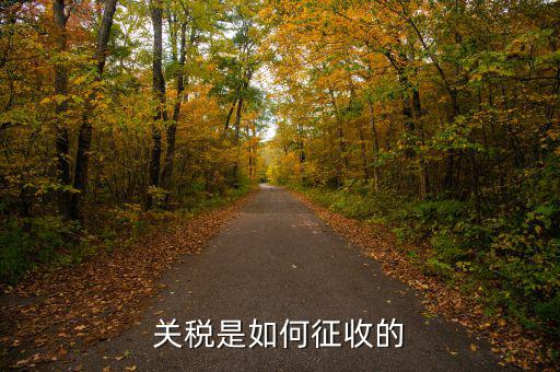 依據(jù)什么征收關(guān)稅，關(guān)稅是如何征收的