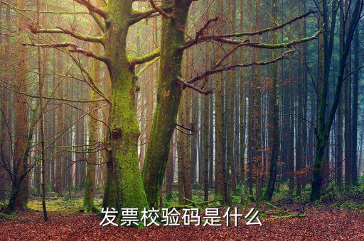 電子發(fā)票 查詢的驗證碼是什么，發(fā)票校驗碼是什么