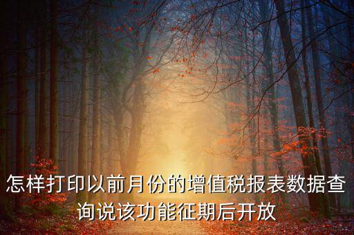 怎樣打印以前月份的增值稅報(bào)表數(shù)據(jù)查詢(xún)說(shuō)該功能征期后開(kāi)放