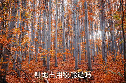 耕地占用稅什么情況可以退，占用耕地罰款后拆遷還能退嗎