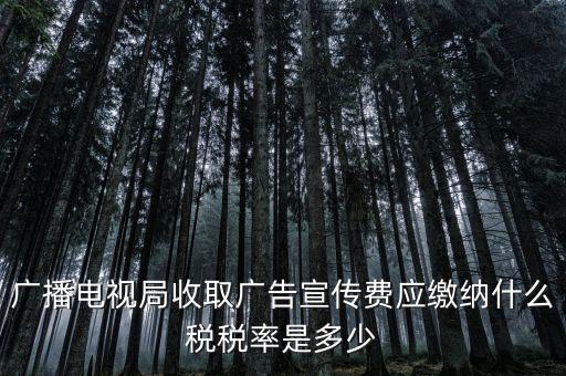 宣傳費屬于什么稅，廣播電視局收取廣告宣傳費應(yīng)繳納什么稅稅率是多少