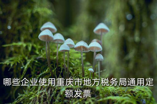 定額發(fā)票什么行業(yè)，哪些企業(yè)能買(mǎi)手撕定額發(fā)票小規(guī)模生產(chǎn)企業(yè)已經(jīng)開(kāi)了普通發(fā)票能買(mǎi)