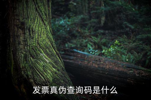 網(wǎng)絡(luò)發(fā)票查詢號是什么，發(fā)票真?zhèn)尾樵兇a是什么