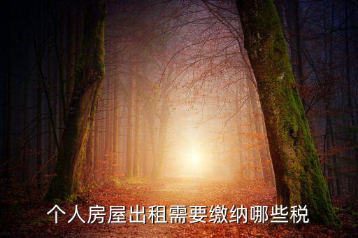 個(gè)人租房交什么稅，個(gè)人出租房屋要交什么稅費(fèi)