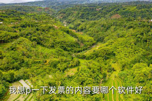 我想p一下發(fā)票的內(nèi)容要哪個軟件好