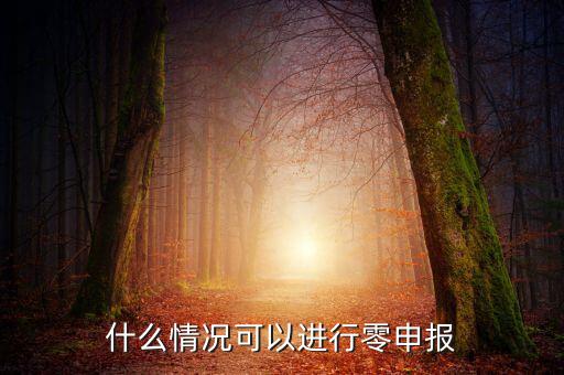 什么情況下可以一鍵零申報(bào)，什么情況可以進(jìn)行零申報(bào)