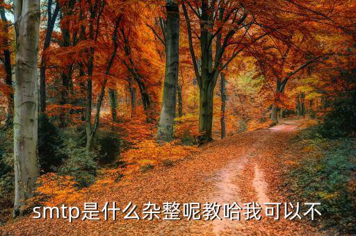 麥拓通訊是什么，麥拓廣告公司的面試測(cè)試是不是騙子公司