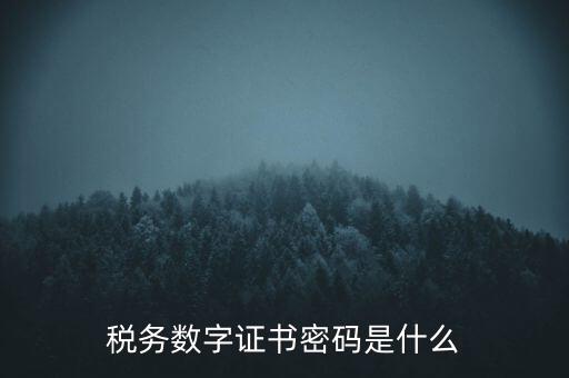 輸入稅務(wù)數(shù)字證書密碼是什么，稅務(wù)數(shù)字證書密碼是什么