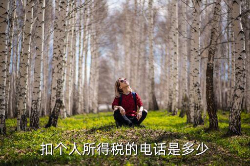 成都查個(gè)稅打什么電話，如何查詢個(gè)人所得稅明細(xì)