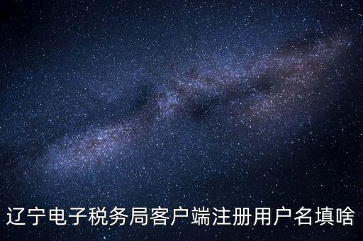 遼寧省網(wǎng)上稅務(wù)局登錄需要什么，遼寧電子稅務(wù)局客戶端注冊用戶名填啥