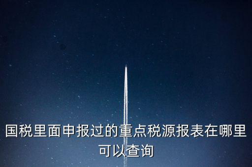國稅里面申報過的重點(diǎn)稅源報表在哪里可以查詢