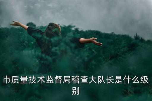 市質量技術監(jiān)督局稽查大隊長是什么級別