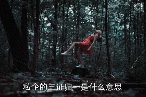 公司的三證合一是什么，什么是三證合一