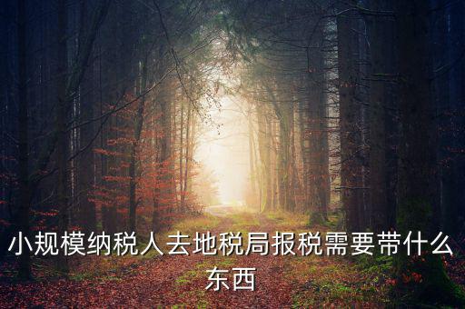 上門申報附加稅要帶什么資料，去地稅局繳納營業(yè)稅金及附加需要帶什么資料