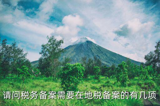 請(qǐng)問(wèn)稅務(wù)備案需要在地稅備案的有幾項(xiàng)