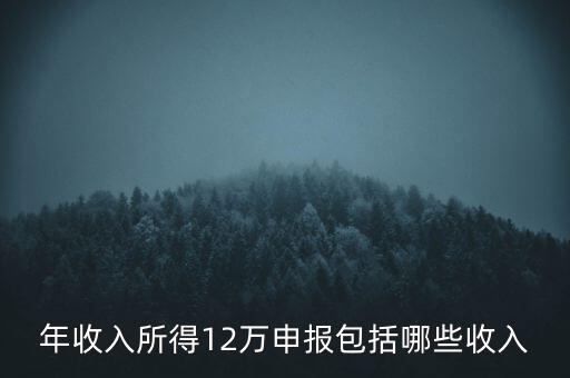 十二萬申報是什么，12萬個稅申報有什么用
