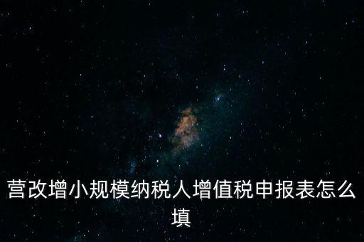 營(yíng)改增需要填什么表，營(yíng)改增小規(guī)模納稅人網(wǎng)上納稅申報(bào)需要填寫(xiě)幾張表