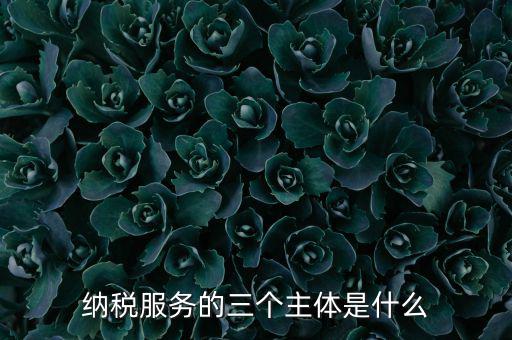 納稅服務 是什么，納稅服務的三個主體是什么