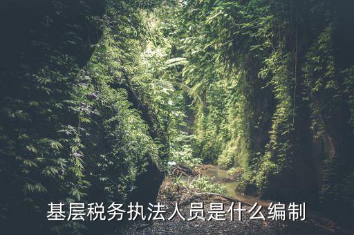 基層稅收?qǐng)?zhí)法干什么的，基層稅務(wù)執(zhí)法人員是什么編制