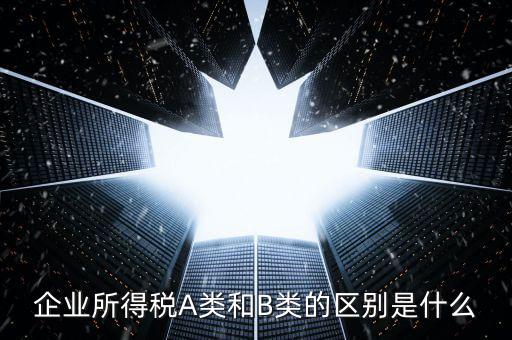 環(huán)境保護(hù)稅a類和b類什么區(qū)別，企業(yè)所得稅a類表和b類有什么區(qū)別