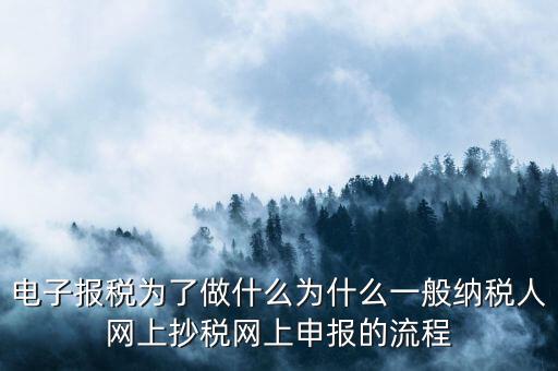 電子稅務(wù)申報(bào)是什么來(lái)的，電子申報(bào)納稅是怎么回事給報(bào)送紙質(zhì)申報(bào)材料一樣嗎