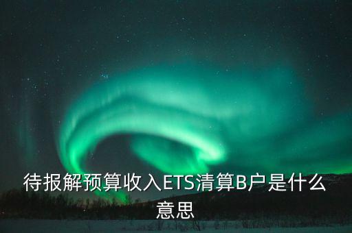地稅b戶(hù)是什么，待報(bào)解預(yù)算收入ETS清算B戶(hù)是什么意思