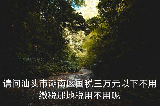 國稅3萬元不到地稅要交什么稅，請問汕頭市潮南區(qū)國稅三萬元以下不用繳稅那地稅用不用呢