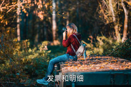 發(fā)票中的明細(xì)是什么意思，發(fā)票的明細(xì)條數(shù)控制在2000條是什么意思