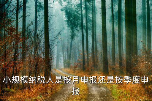 小規(guī)模納稅人按季申報是指什么，增值稅小規(guī)模納稅人按季申報怎么填