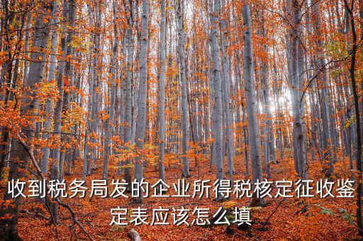 去稅務(wù)局核定征收填什么，核定征收企業(yè)報(bào)所得稅在去稅務(wù)局核定時(shí)需要拿什么資料