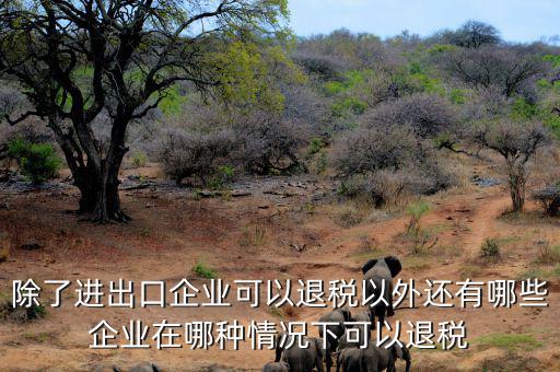 中國(guó)什么公司可以退稅，除了進(jìn)出口企業(yè)可以退稅以外還有哪些企業(yè)在哪種情況下可以退稅