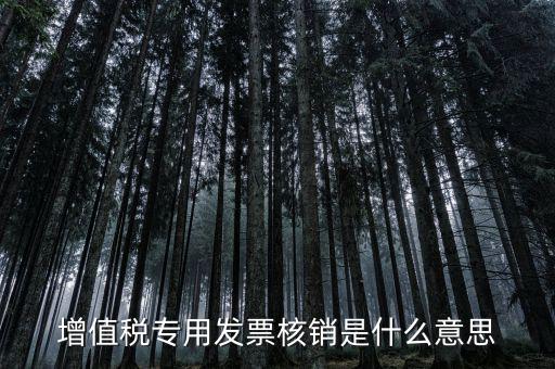 發(fā)票管家是什么，發(fā)票開(kāi)票系統(tǒng)KEY是什么