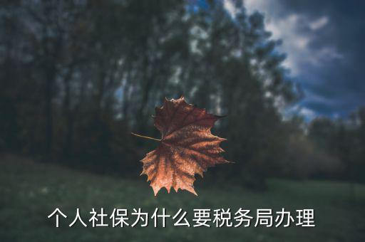 社會保險繳納和稅務局什么關系，社保為什么要稅務部門征收